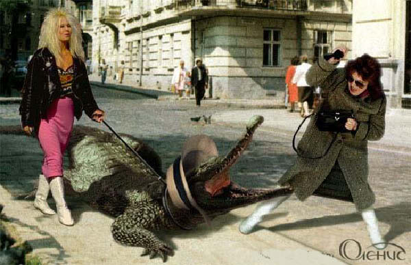 encore une blonde-humourenvrac